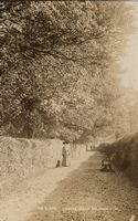 Picture of Old Ryde 1907.